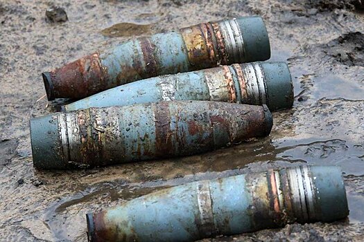 В лесу у поселка в Хабаровском крае нашли схрон с боеприпасами