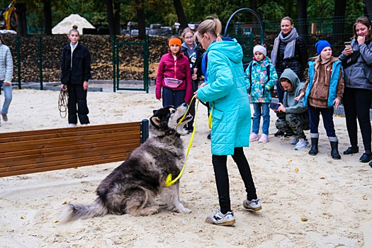 Твердый тон, уверенность в себе. Ребята из кружка «Юный кинолог» учатся отдавать команды домашним питомцам