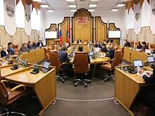 Красноярские депутаты настаивают на довыборах в горсовет по 6 округам