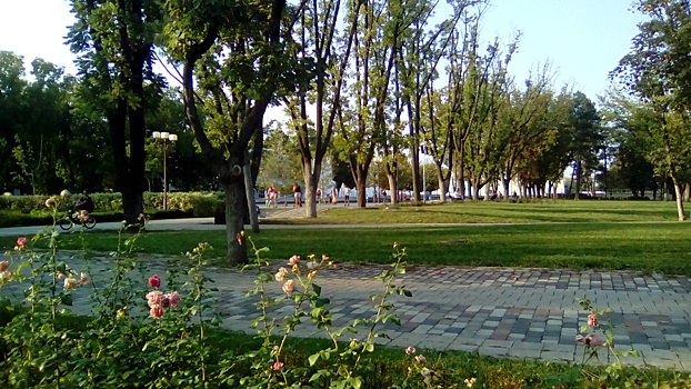 В воскресенье на Кубани ожидается жаркая погода как ночью, так и в дневное время