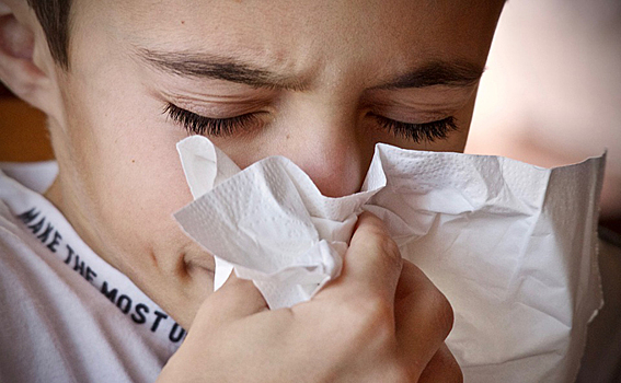 Аллергию стали чаще диагностировать у новосибирцев