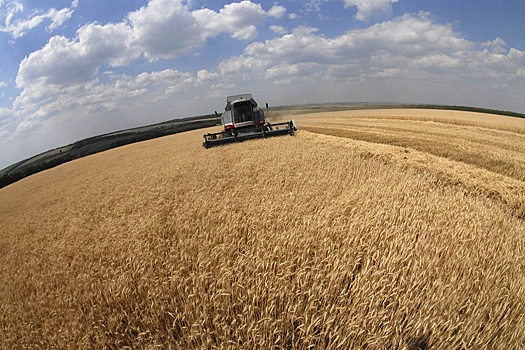 В августе Россия экспортировала рекордные 5,78 миллиона тонн зерна