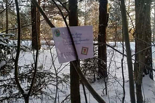 Дед Мороз исполнил мечту оставившей письмо в лесу девочки