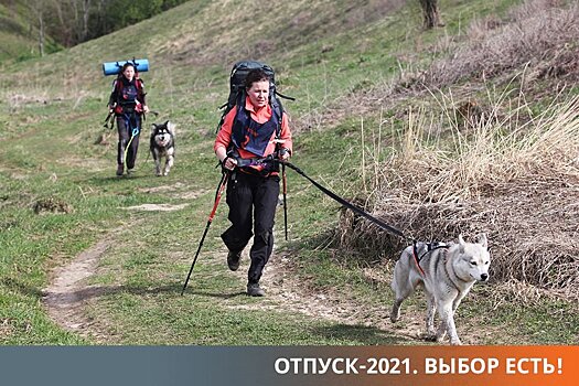 В России начал активно развиваться новый вид туризма с собаками