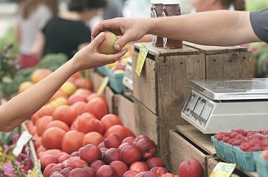 В Севастополе откроют три новые продуктовые ярмарки