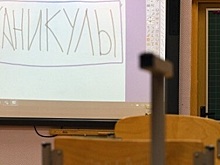 В Ленобласти школьников отпустят на внеплановые каникулы с 7 по 20 февраля