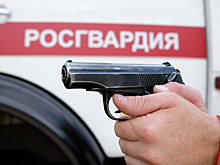 На Кубани неизвестный открыл стрельбу по росгвардейцам