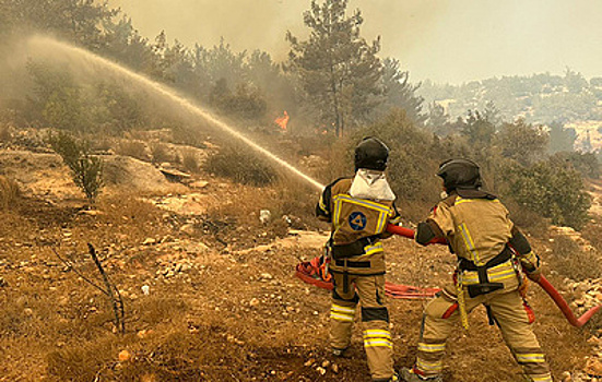 Служба пожарной безопасности АЭС "Аккую" приняла участие в тушении пожара в Мерсине