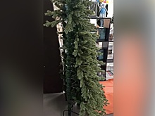 В России продают половинки елки для экономии места в квартире