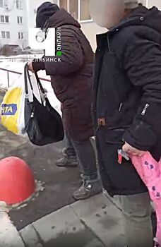 Девочка, которую прохожие пытались забрать у пьяной матери в Челябинске, изъята из семьи