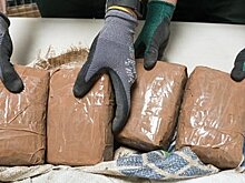 Адвокат: ключевого фигуранта "кокаинового дела" экстрадировали в РФ раньше срока