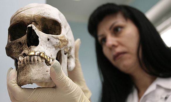 "Обнаружен череп человека": трагедия под Москвой