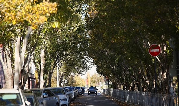 В Волгограде синоптики прогнозируют сухую и солнечную погоду