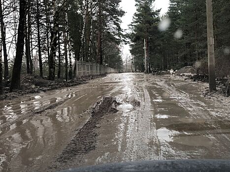 «Утопаем в грязи»: крик о помощи от жителей Владимирской области