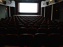 Госдуму предложили пересадить на отечественные автомобили