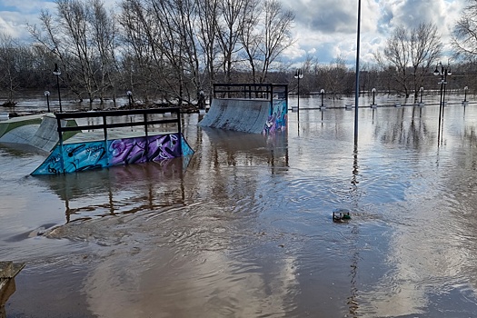 Уровень воды в Тоболе у курганского села Звериноголовское почти достиг метра