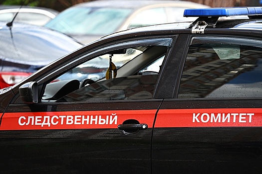 Против грузинского певца, осквернившего флаг РФ, возбуждено уголовное дело
