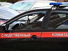 Против грузинского певца, осквернившего флаг РФ, возбуждено уголовное дело