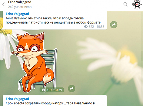 «Все лезут за трендами». Кто и зачем пишет политические Telegram-каналы в Волгограде