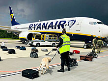 Норвежцы обвинили НАТО в двойных стандартах