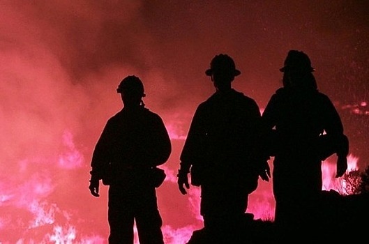 Права добровольных лесных пожарных предложили обозначить в законе о волонтёрстве