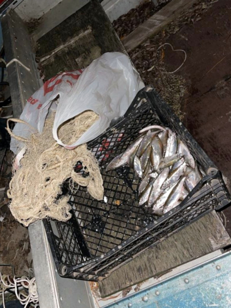 Выловили более 100 уклеек: в Волгодонске поймали браконьеров-рецидивистов