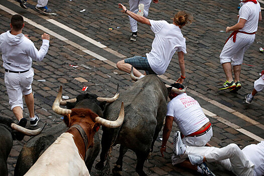 На фестивале в Испании быки затоптали 5 человек