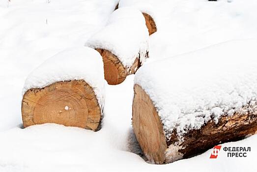 В Мордовии нашли виновника «цементного» снега