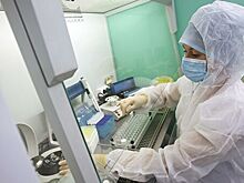 В Сибири разработали тест для выявления коронавируса