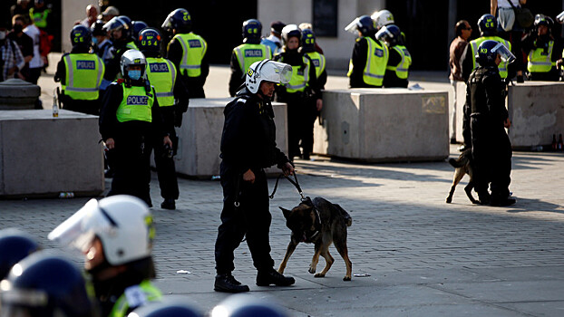 Протестующие в Лондоне ранили полицейских