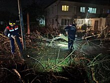 Развожаев: в Севастополе из-за шторма пострадали три человека