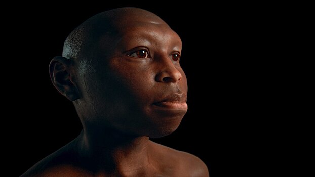 BBC показал 3D-модели четырех ранних видов человека