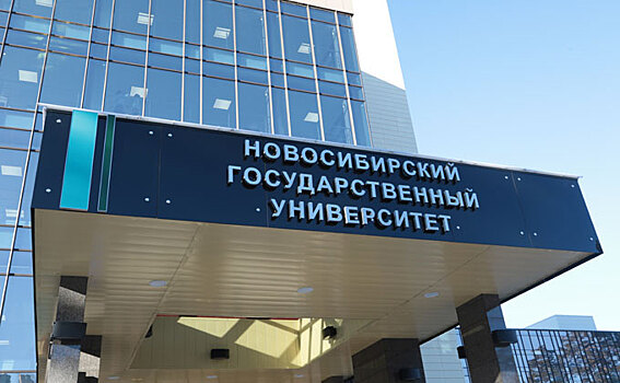 Президентские гранты на 16,8 млн рублей получили ученые Академгородка