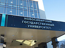 Президентские гранты на 16,8 млн рублей получили ученые Академгородка