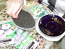 В Волгограде проверяют импортные семена перед продажей?