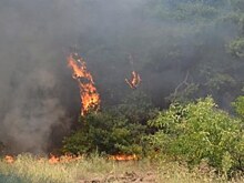 В Томской области спасатели ликвидировали 9 лесных пожаров