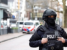 В Нидерландах автомобиль въехал в группу людей на параде, десять раненых