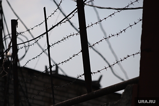 Осужденного за убийства лидера курганской банды хотят вернуть в колонию