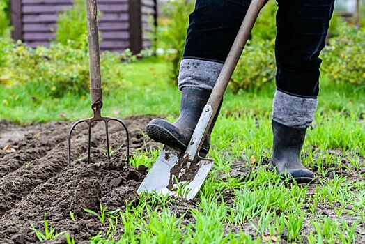 Благоприятные дни для садовода и огородника на май 2021 года: календарь, что сажать
