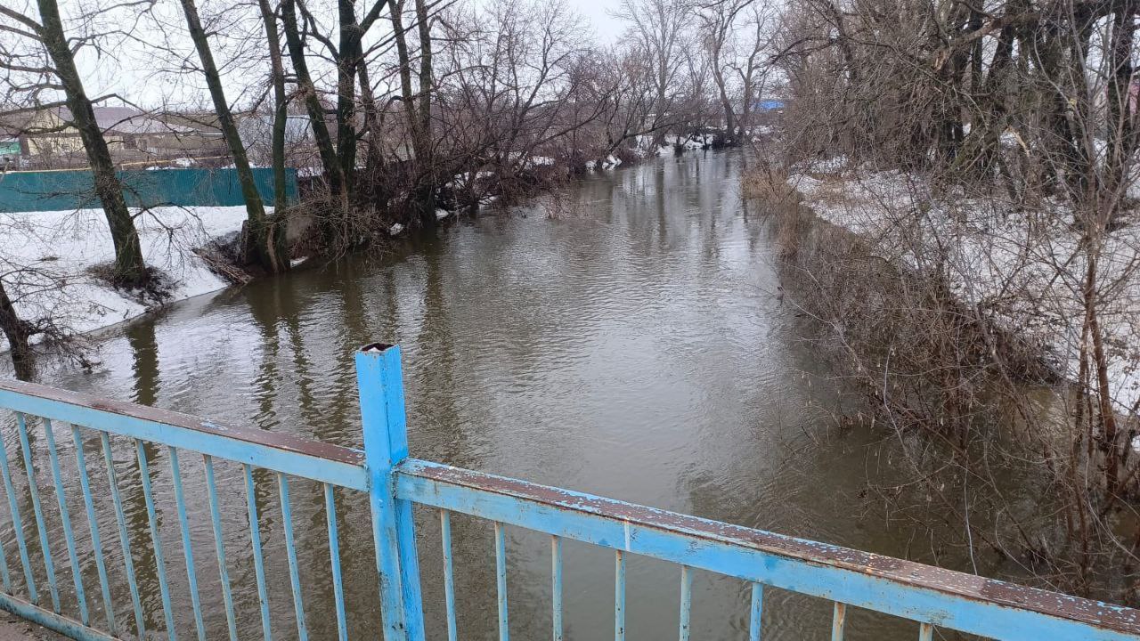 В Оренбуржье за сутки из-за талых вод подтопило 84 жилых дома