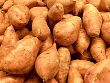 Nature Food: Учёным удалось увеличить урожай ямса, завернув семена в банановую бумагу