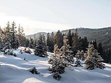 Пропавший в тайге Усольцев верил, что через смерть в горной местности можно обрести вечную жизнь