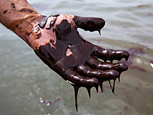 Из-за разлива нефти в ОАЭ закрыто несколько пляжей