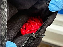 Финансовая нужда толкнула иностранца на преступление с наркотиками