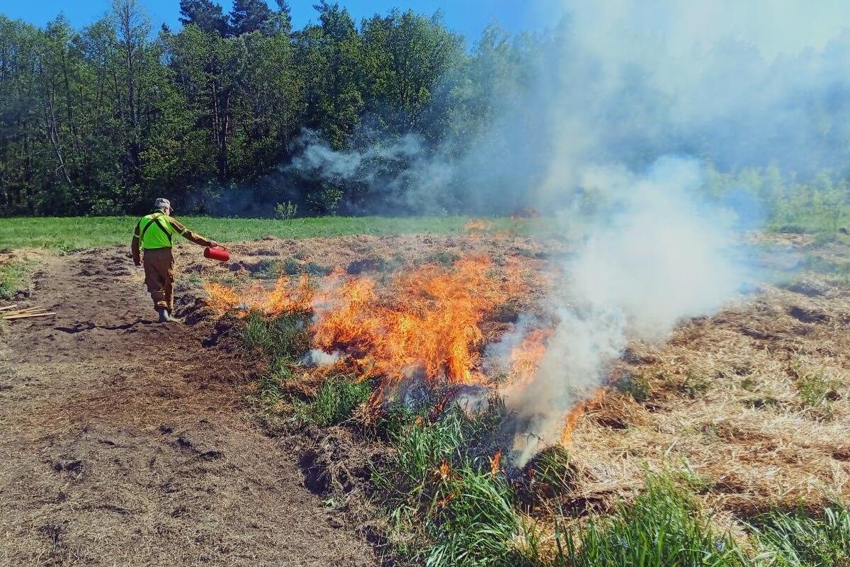 Особый противопожарный режим в Омской области планируют ввести с 10 апреля