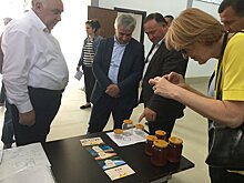 Завод по очистке и фасовке меда откроется в селе Кындыг