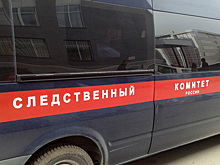 СК возбудил дело на угрожающего полицейским пьяного адвоката из Москвы