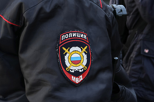 Общественный порядок в Петербурге обеспечит офицер из Москвы