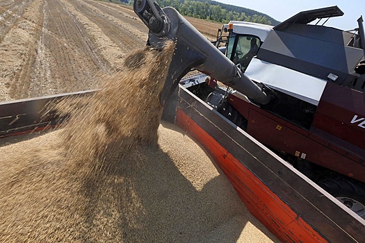 В Беларуси собрано уже десять миллионов тонн зерна