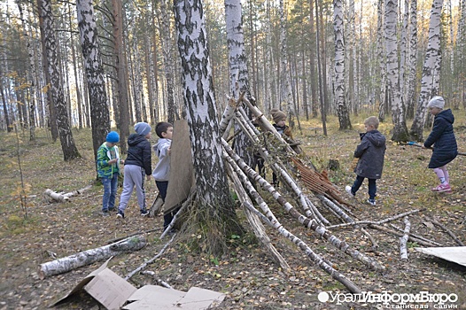 Рощу в Краснолесье преобразит "народный проект"